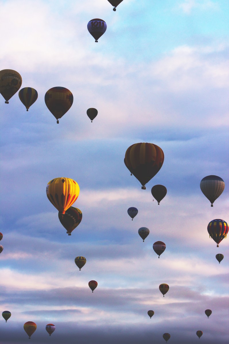 feather + fir — City Guide: Albuquerque, New Mexico