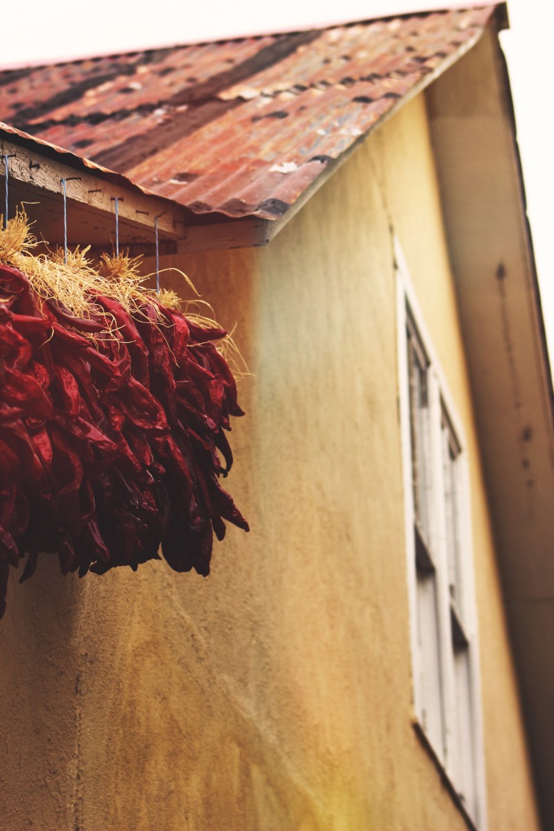 feather + fir — City Guide: Albuquerque, New Mexico