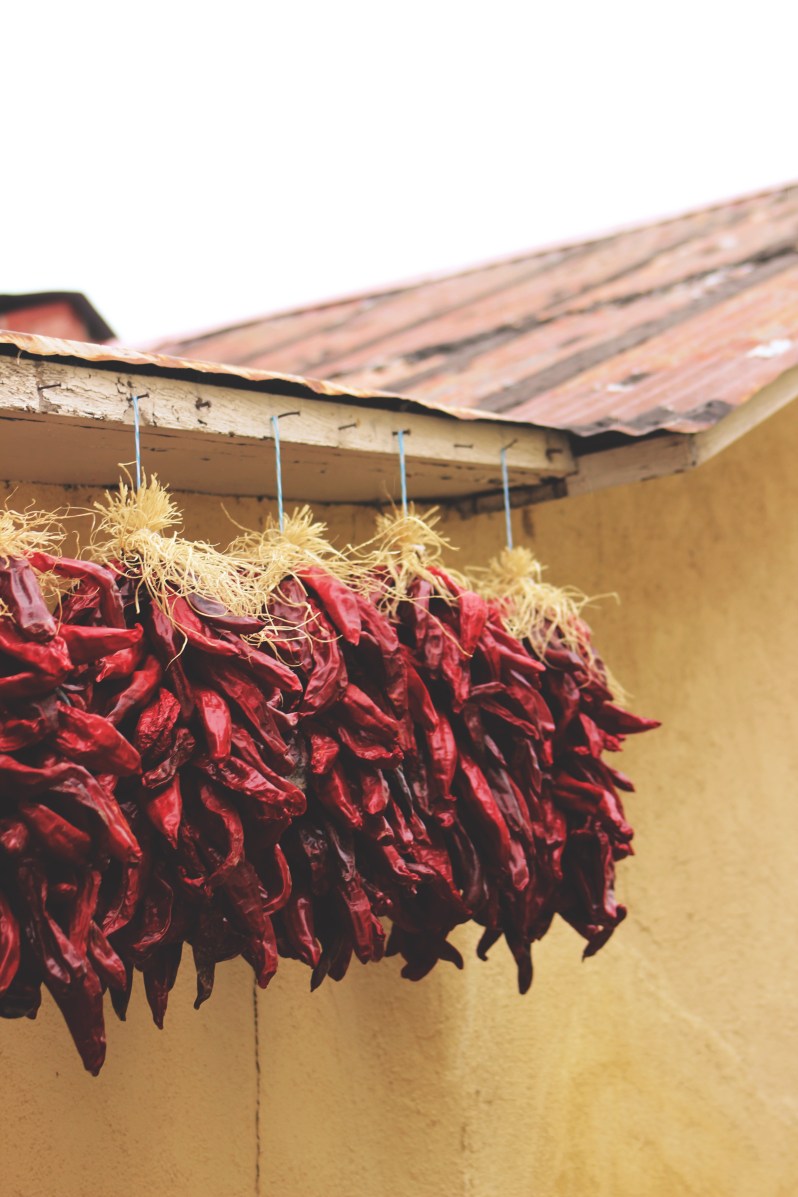 feather + fir — City Guide: Albuquerque, New Mexico