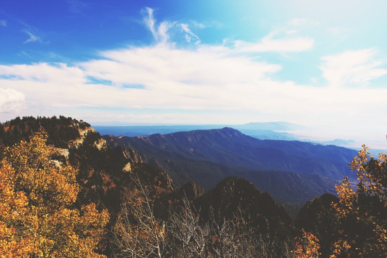 feather + fir — City Guide: Albuquerque, New Mexico