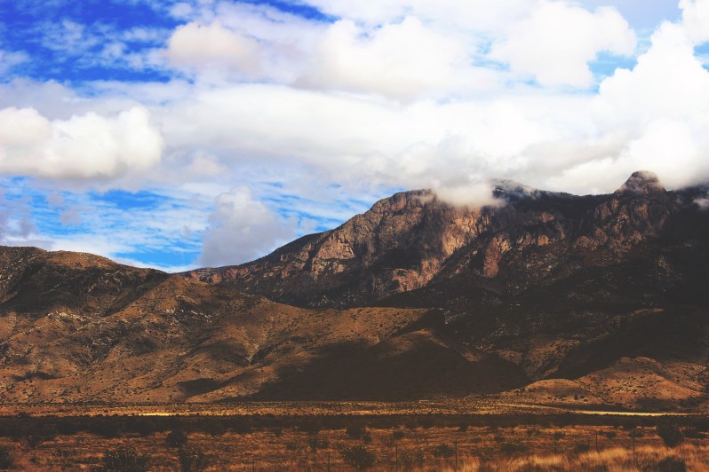 feather + fir — City Guide: Albuquerque, New Mexico