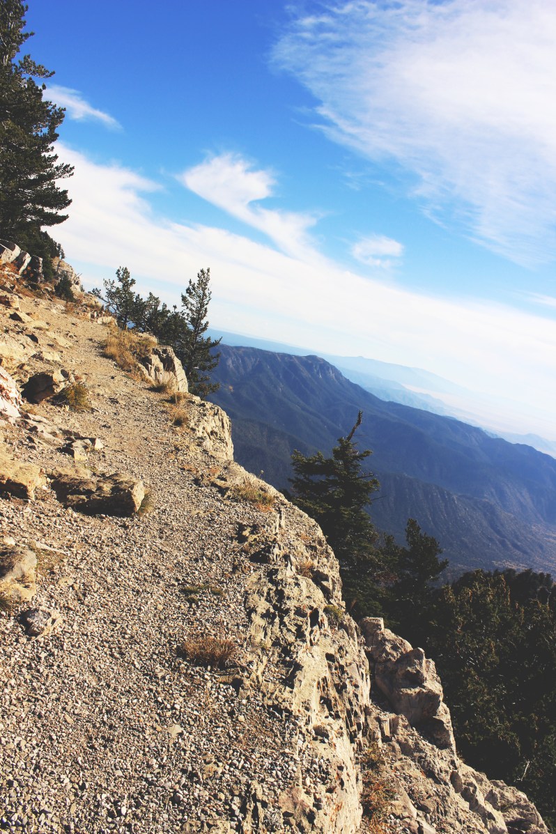 feather + fir — City Guide: Albuquerque, New Mexico