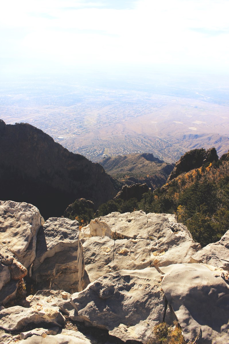 feather + fir — City Guide: Albuquerque, New Mexico