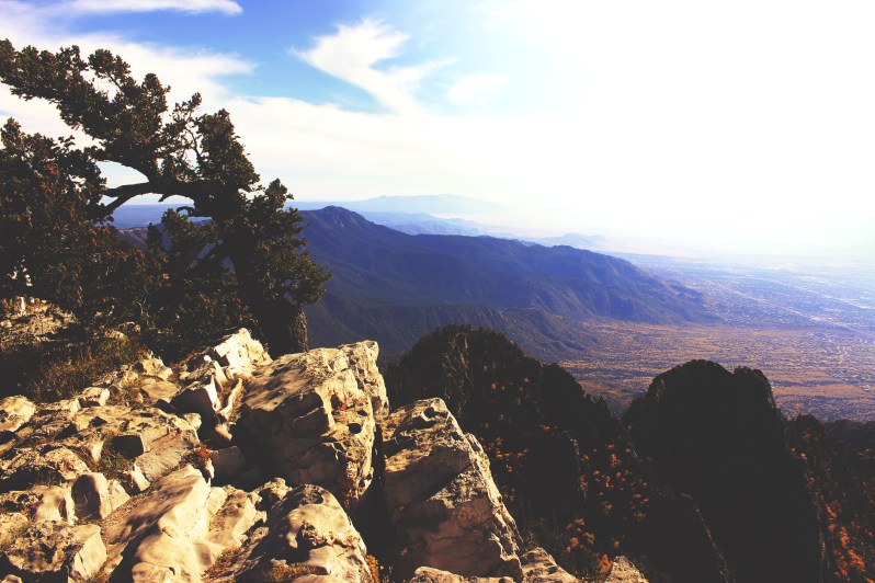 feather + fir — City Guide: Albuquerque, New Mexico