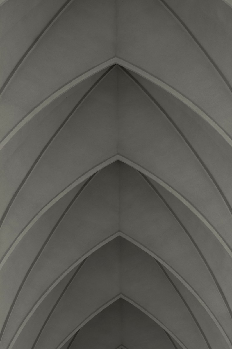 feather + fir — Reykjavik