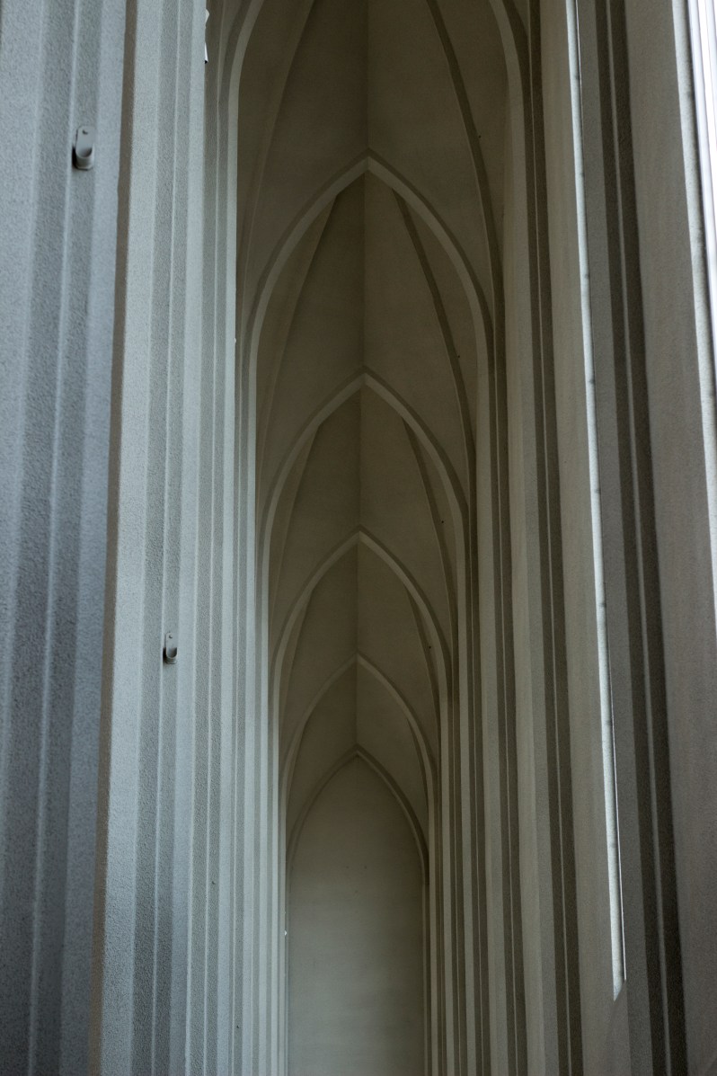 feather + fir — Reykjavik