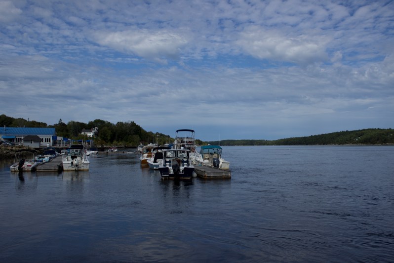 feather + fir — Bath, Maine