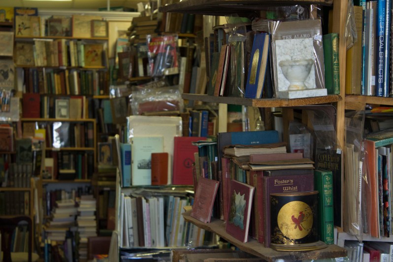 feather + fir — Bath, Maine