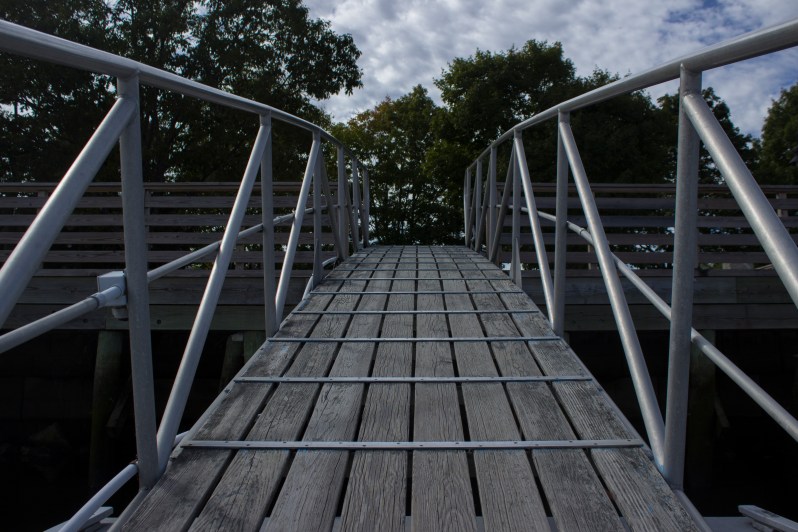 feather + fir — Bath, Maine