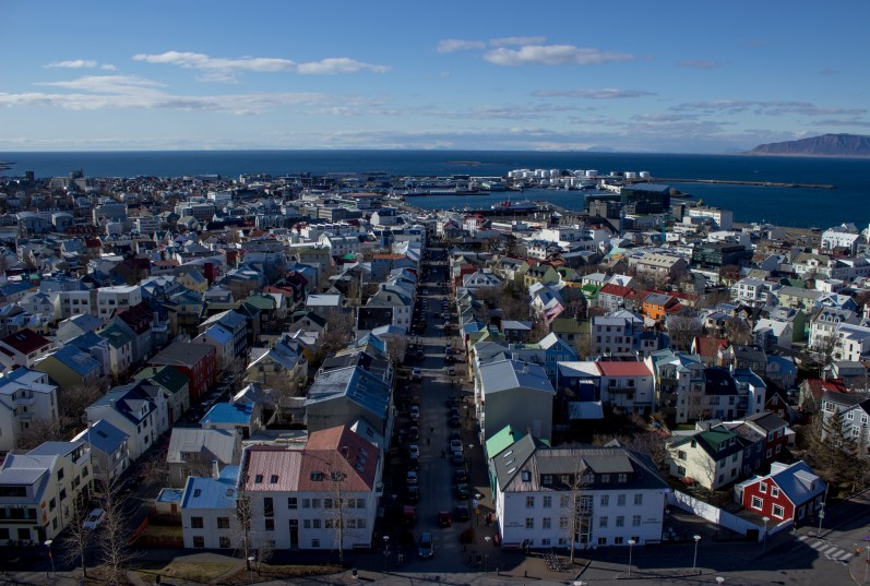 feather + fir — Reykjavik