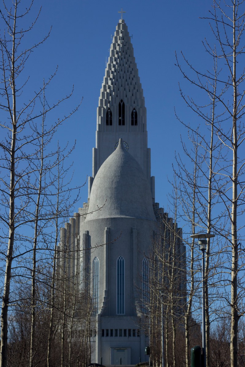 feather + fir — Reykjavik
