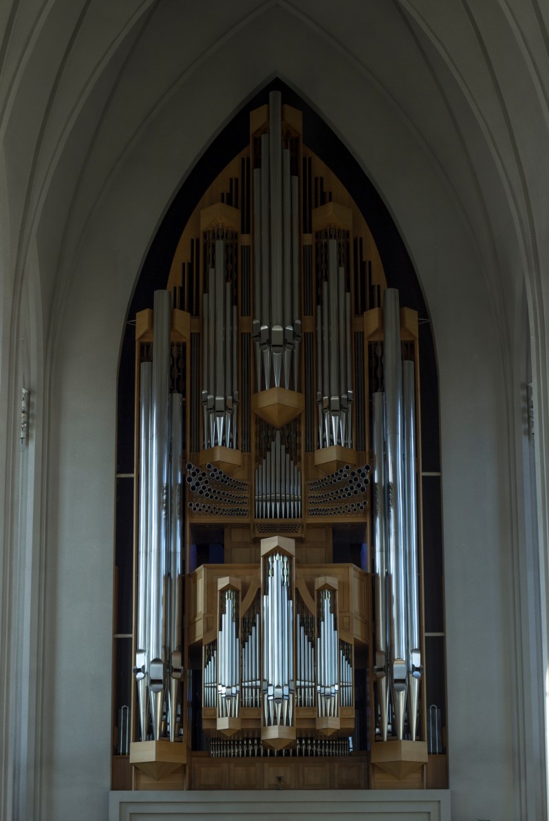 feather + fir — Reykjavik