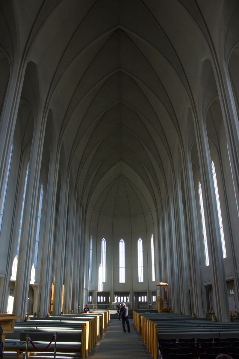 feather + fir — Reykjavik