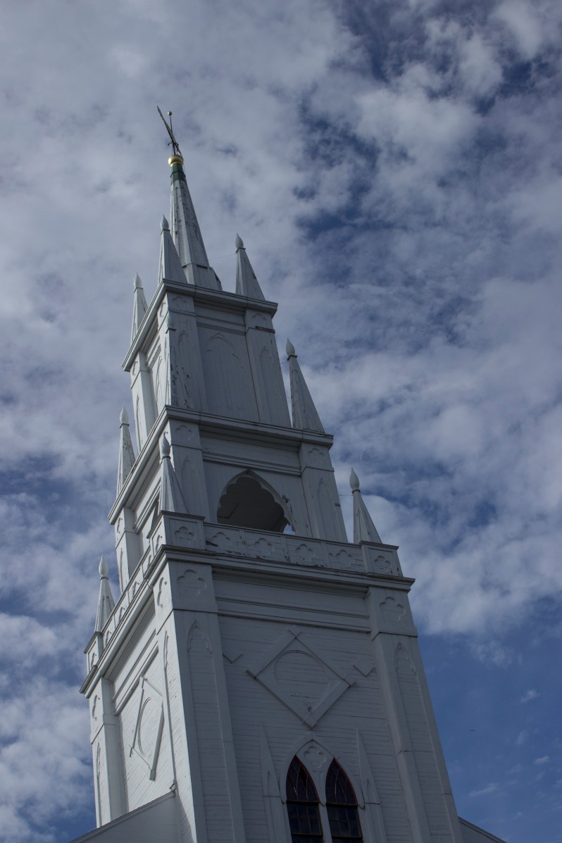 feather + fir — Bath, Maine