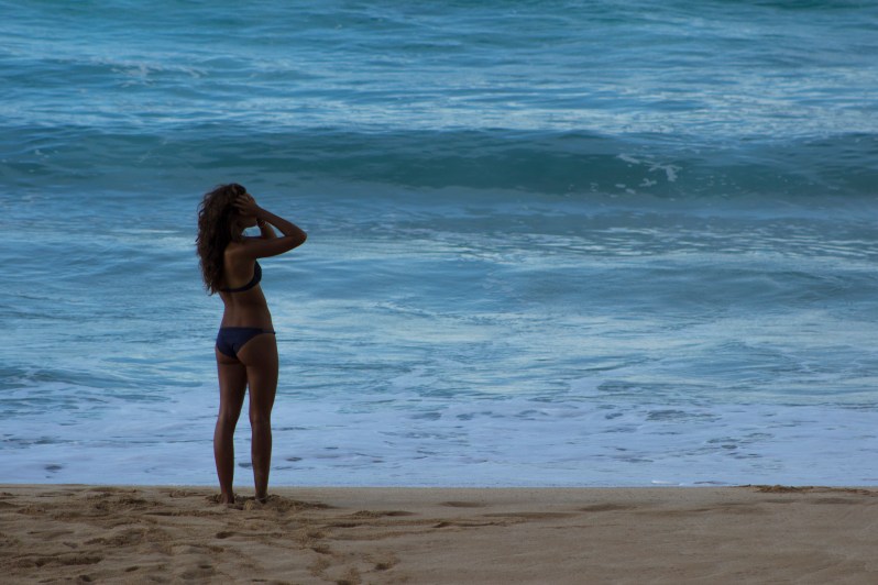 feather + fir — The North Shore