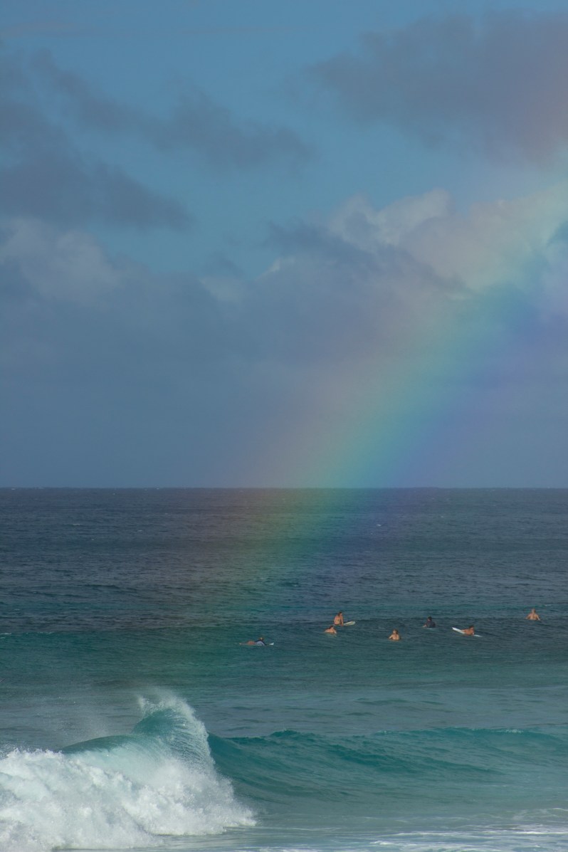 feather + fir — The North Shore