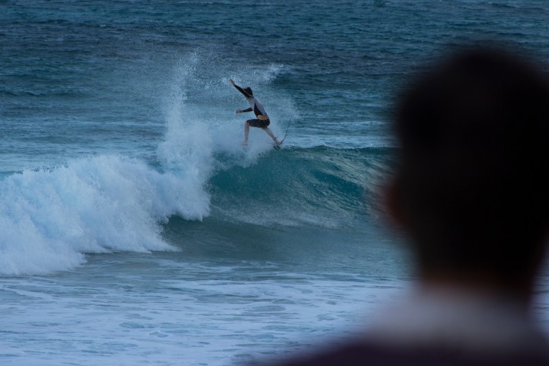 feather + fir — The North Shore