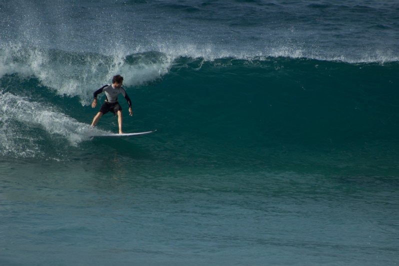 feather + fir — The North Shore