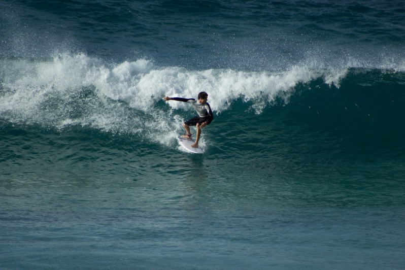 feather + fir — The North Shore