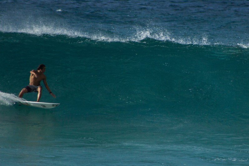 feather + fir — The North Shore