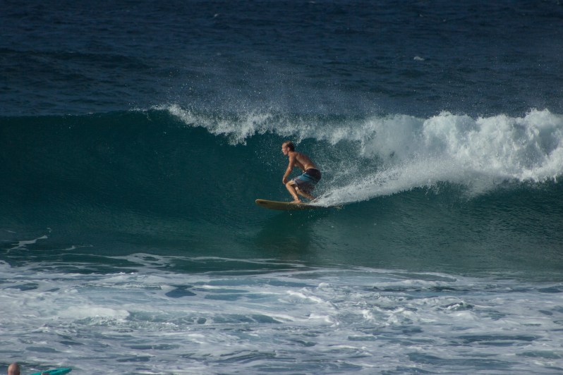 feather + fir — The North Shore