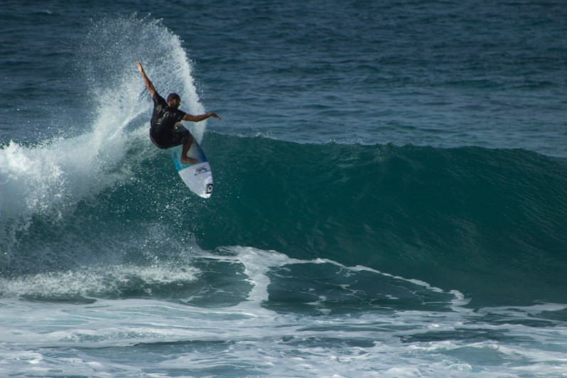 feather + fir — The North Shore