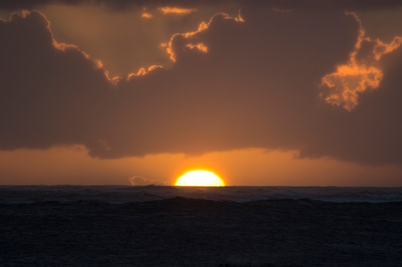 feather + fir — The North Shore