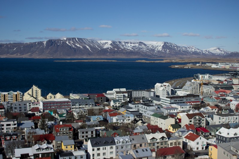 feather + fir — Reykjavik